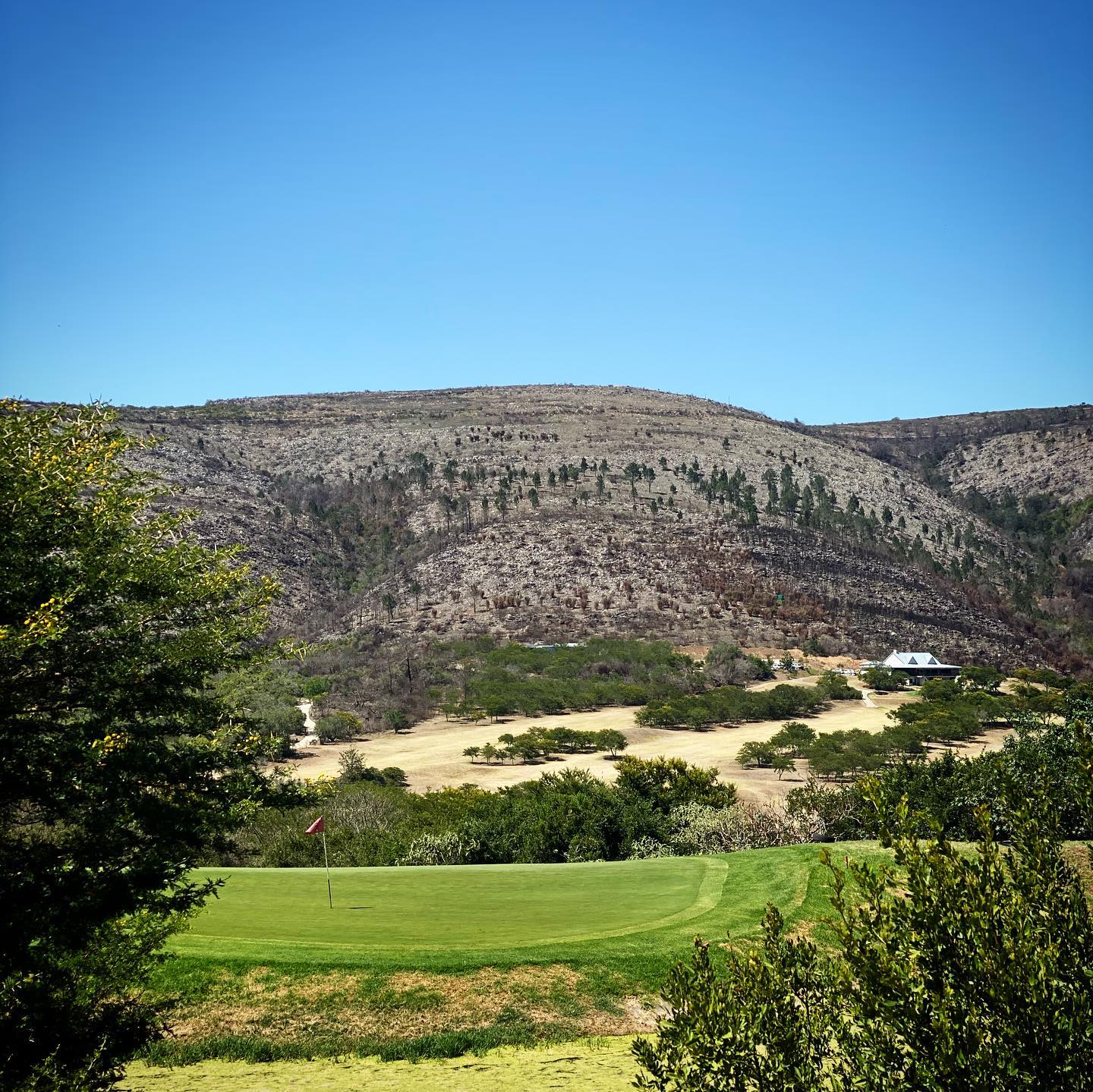 @thebelmontgolfclub near Grahamstown in #SouthAfrica is a little hidden gem. Awesome #bentgrass gree
