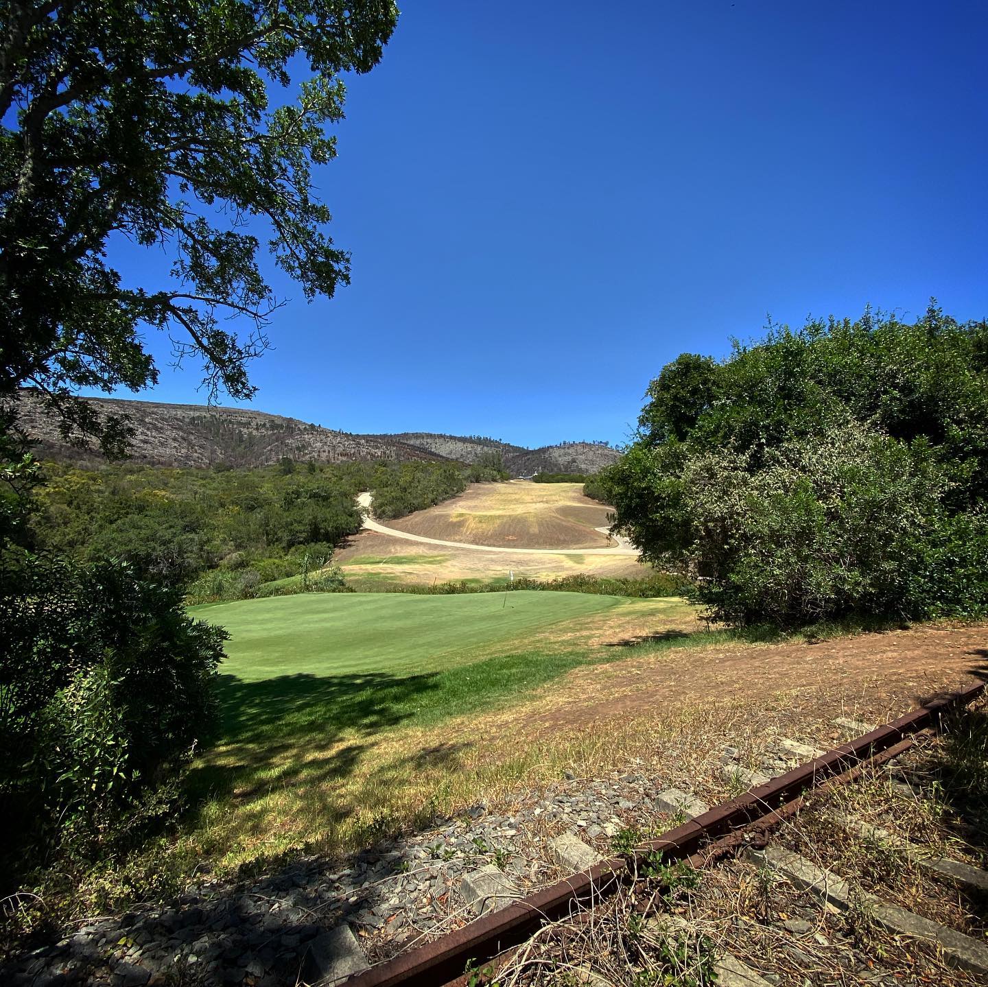 @thebelmontgolfclub near Grahamstown in #SouthAfrica is a little hidden gem. Awesome #bentgrass gree